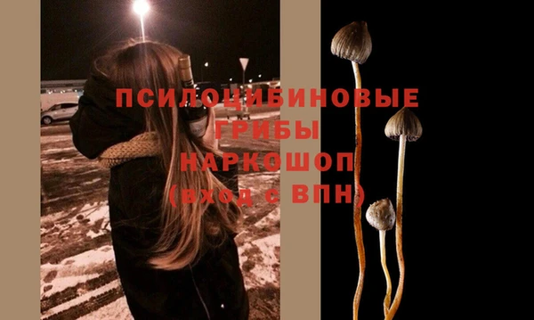 стаф Волоколамск