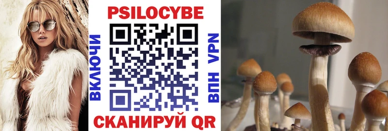 hydra ссылка  Камень-на-Оби  Псилоцибиновые грибы мицелий 